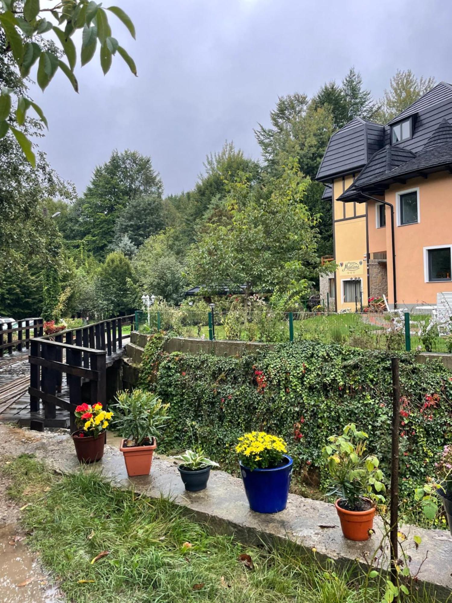 Montana Sucevita Exterior foto